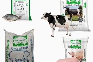 IngoPrimeFeeds_Feed-2 IngoPrimeFeeds_Feed-2