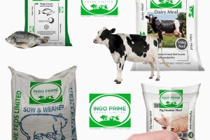 IngoPrimeFeeds_Feed2 IngoPrimeFeeds_Feed2