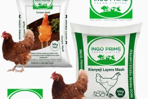 IngoPrimeFeeds_Feed3 IngoPrimeFeeds_Feed3