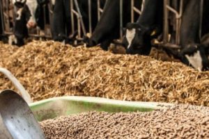 IngoPrimeFeeds_animalsFeed IngoPrimeFeeds_animalsFeed